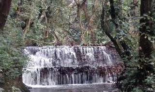 你在南方我在北方是什么歌 你在南方我在北方是什么歌