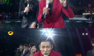 2013刘德华跨年演唱会 2013刘德华跨年演唱会