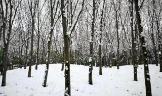 你在南方我在北方是什么歌 你在南方我在北方是什么歌