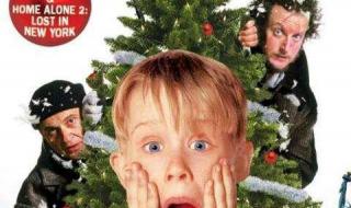 小鬼当家5_假日劫案 小鬼当家5_假日劫案