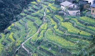 暑假带孩子去哪里旅游最好 暑假带孩子去哪里旅游最好