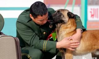 男生喜欢把头埋在女生怀里 男生喜欢把头埋在女生怀里