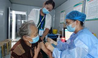 科兴疫苗造假是真的吗_ 科兴疫苗造假是真的吗_