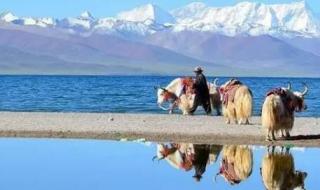 去西藏旅游一趟需要多少钱 去西藏旅游一趟需要多少钱