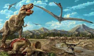 能杀死霸王龙的恐龙 能杀死霸王龙的恐龙
