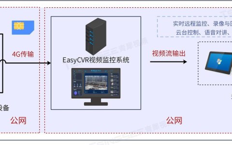 短视频监管（短视频监管机制）