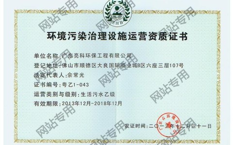 环境污染治理（环境污染治理设施运营资质）