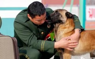 男人为什么喜欢把头扎进女人的怀里 男生喜欢把头埋在女生怀里