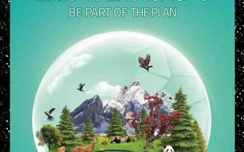 生物多样性保护（COP15后续）（cop15生物多样性资料）