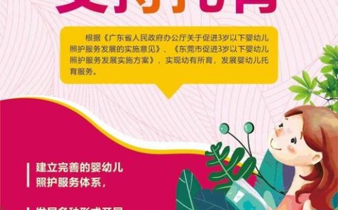 三孩政策配套（托育服务）（三孩政策及配套支持政策）