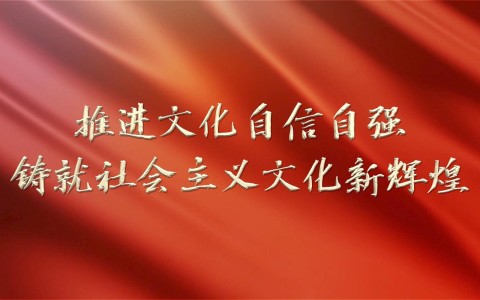 文化自信建设（文化自信建设成果）