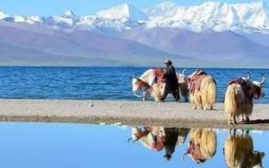 西藏旅游多少钱一个人 去西藏旅游一趟需要多少钱