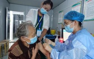 打了三针科兴中维有是假的还有什么是真的段 科兴疫苗造假是真的吗_