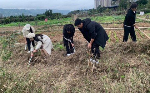 劳动教育实践（劳动教育实践活动）