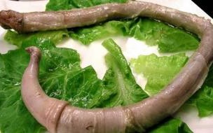 海豚的性格器官有多少厘米 海豚的性格器官是怎么样的