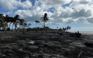 汤加57岁残疾男子漂流27小时生还,他到底遭遇了什么 男子漂流27小时生还