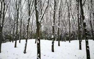 你在南方,我在北方,歌曲名字叫什么 你在南方我在北方是什么歌