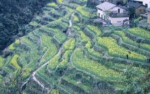 暑假去哪里旅游好适合孩子 暑假带孩子去哪里旅游最好