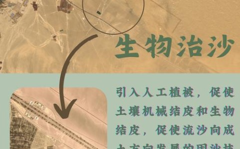 沙漠生态新发现（沙漠生态保护措施）