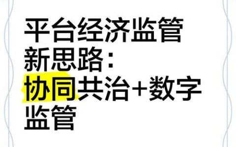 数字服务法案（平台经济监管）（数字化服务平台的投资）