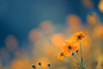 心理健康新趋势（心理健康新趋势是什么）