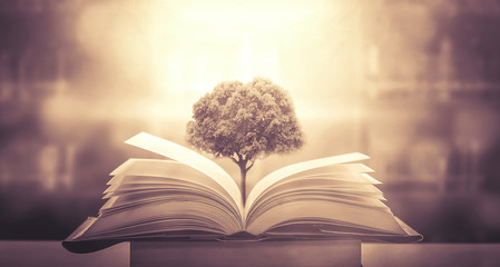 梯子的使用史：一种工具的文明攀登意味（梯子的正确使用事项总结）