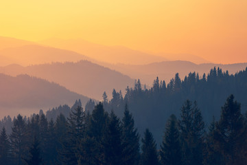 纳米机器人清除血栓实录（纳米机器人怎么才能出去血管）