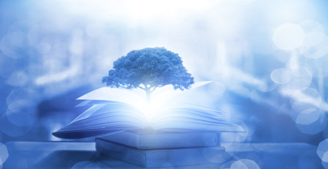 给Siri颁发人类身份证（给siri颁发人类身份证）