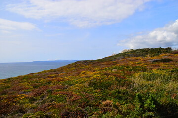 中子星碰撞的黄金制造术（中子星碰撞视频）