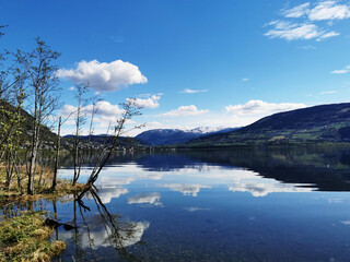 工业革命标志（工业革命标志着人类进入什么时代）