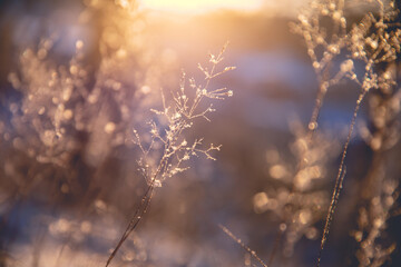 家庭应急包配置（家庭应急包基础版）