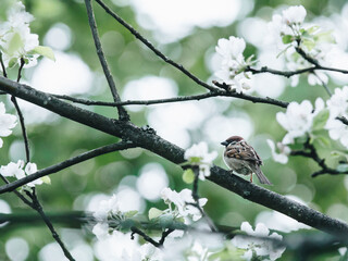 反物质电池的能量密度（反物质电池原理）