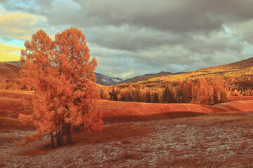 孕妇专用口红什么牌子安全 孕妇用什么口红最安全