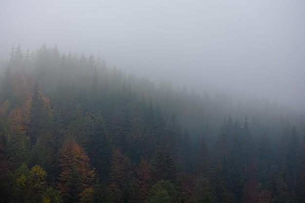 土壤修复工程（土壤修复工程师证书）