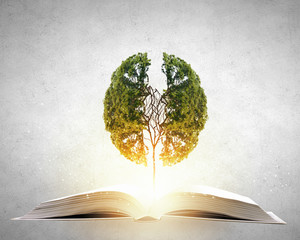 埃及金字塔的星图对齐（埃及金字塔图形）