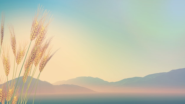 用短视频解读《论语》（论语视屏）