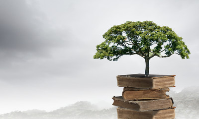 脑机接口的伦理红线（脑机接口的意义）