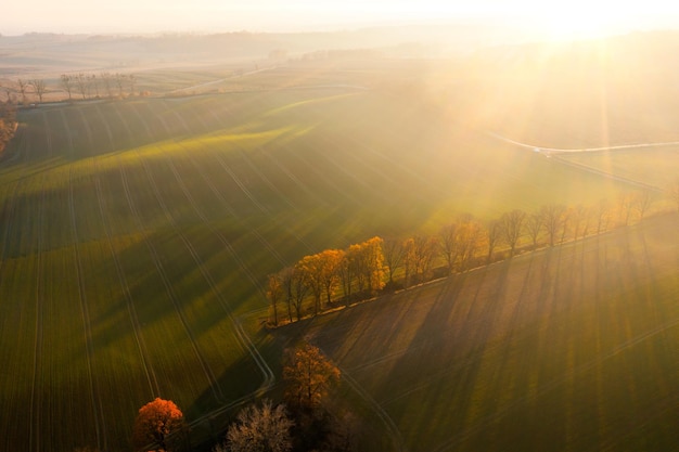 社交降级实践（社交降级实践怎么写）