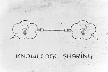 鳄鱼眼泪的化学真相（鳄鱼的眼泪原理）