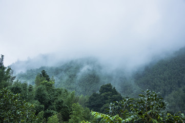 全职儿女新生活（全职爸妈）