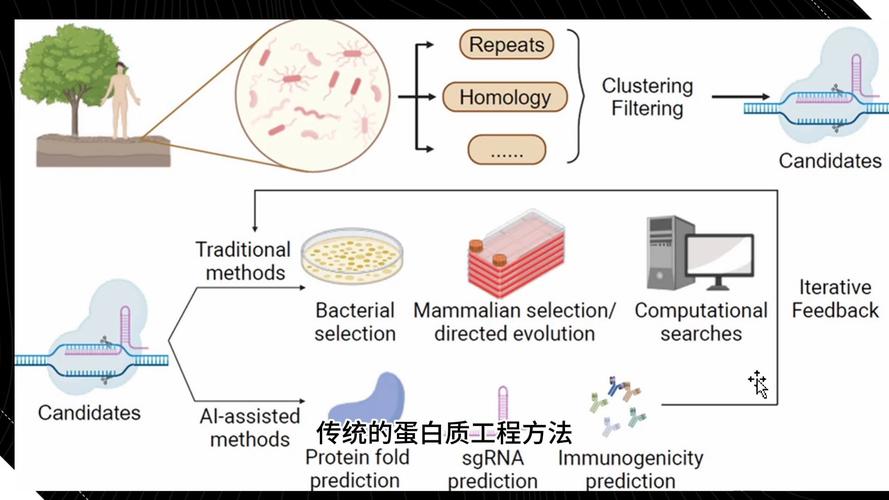 生物科技突破(基因编辑应用)(生物基因科技是什么)