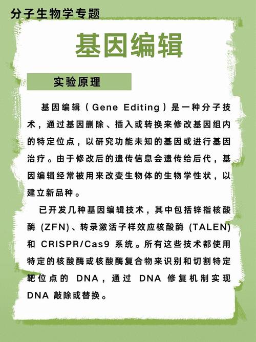 生物科技突破(基因编辑应用)(生物基因科技是什么)