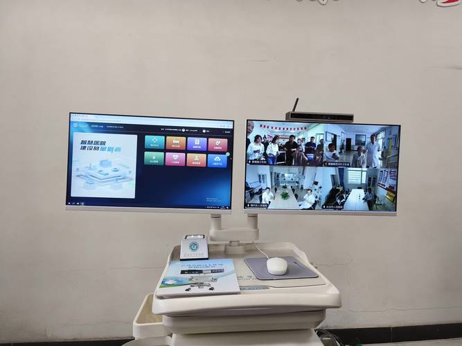 远程医疗(互联网医院)(远程医疗网站)