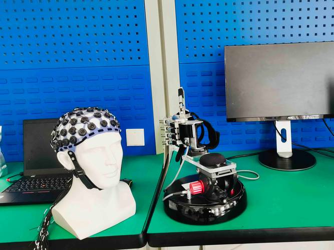 脑机接口(医疗康复应用)(脑机接口简介)