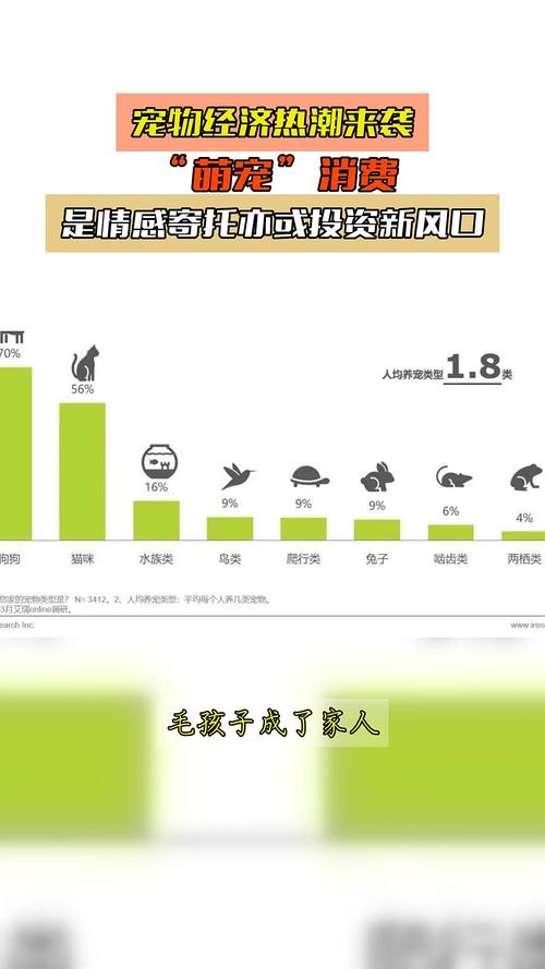 宠物经济(情感消费升级)(宠物经济来袭)