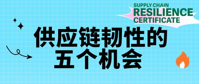 供应链韧性(提升供应链韧性)