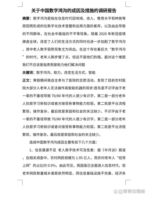 数字鸿沟缩小(数字鸿沟缩小的措施)