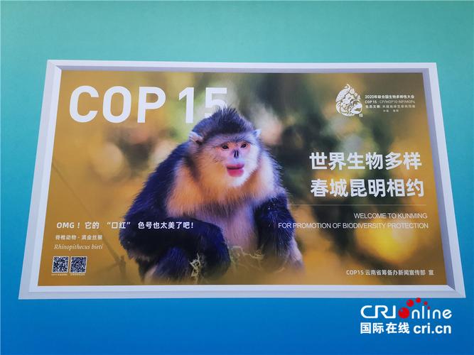 生物多样性保护(COP15后续)(cop15生物多样性资料)