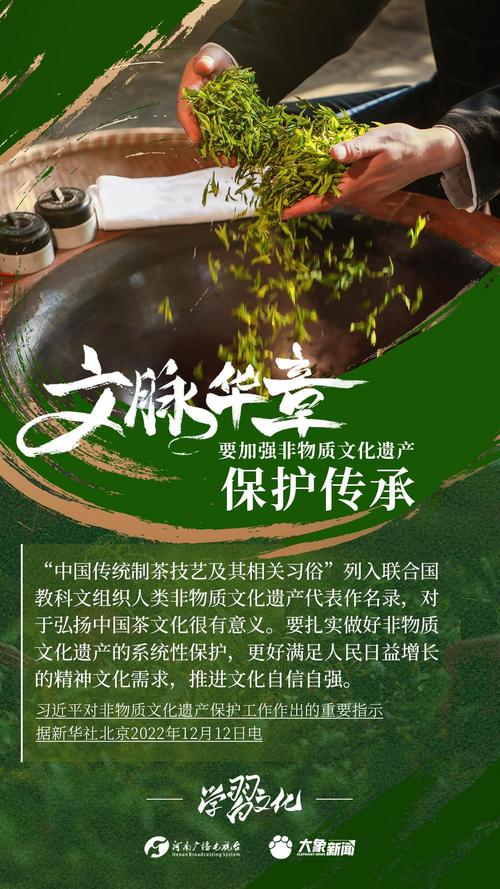 文化自信(非遗保护)(文化自信,文化传承,文化创新)