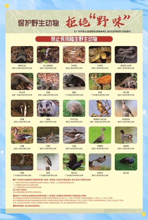 野生动物保护(野生动物保护归哪个部门管)